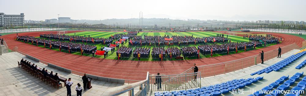 bfe39acb08d24e8dadc478463f6e2d62.jpg